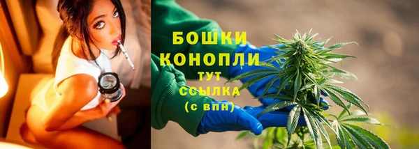 гидра Лиски