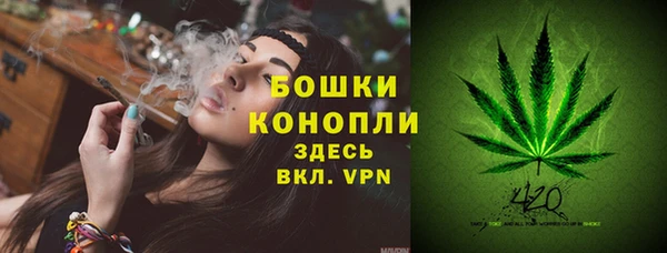 молекула духа Липки