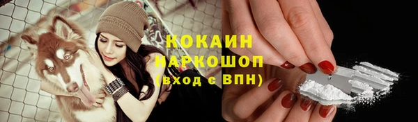 молекула духа Липки