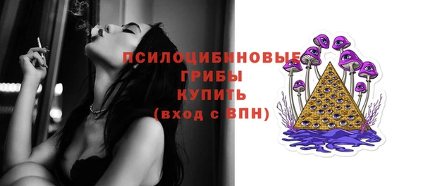 молекула духа Липки