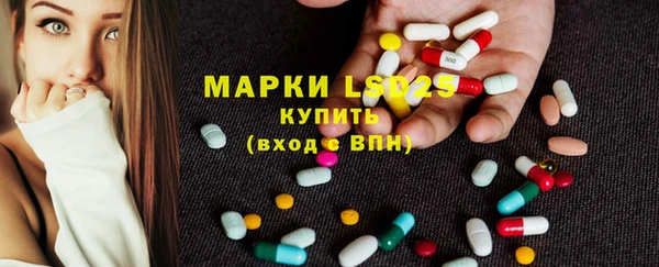 дживик Магас