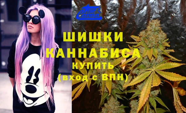 дживик Магас