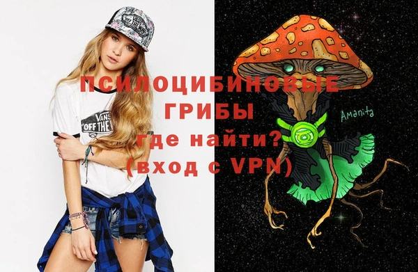 гидра Лиски