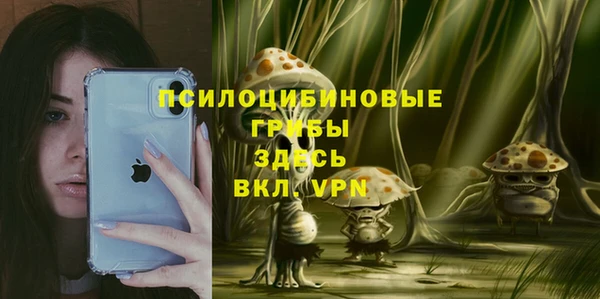 молекула духа Липки