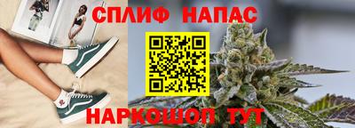 шишки Балашиха