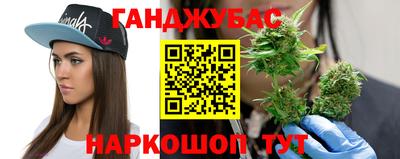 шишки Балашиха