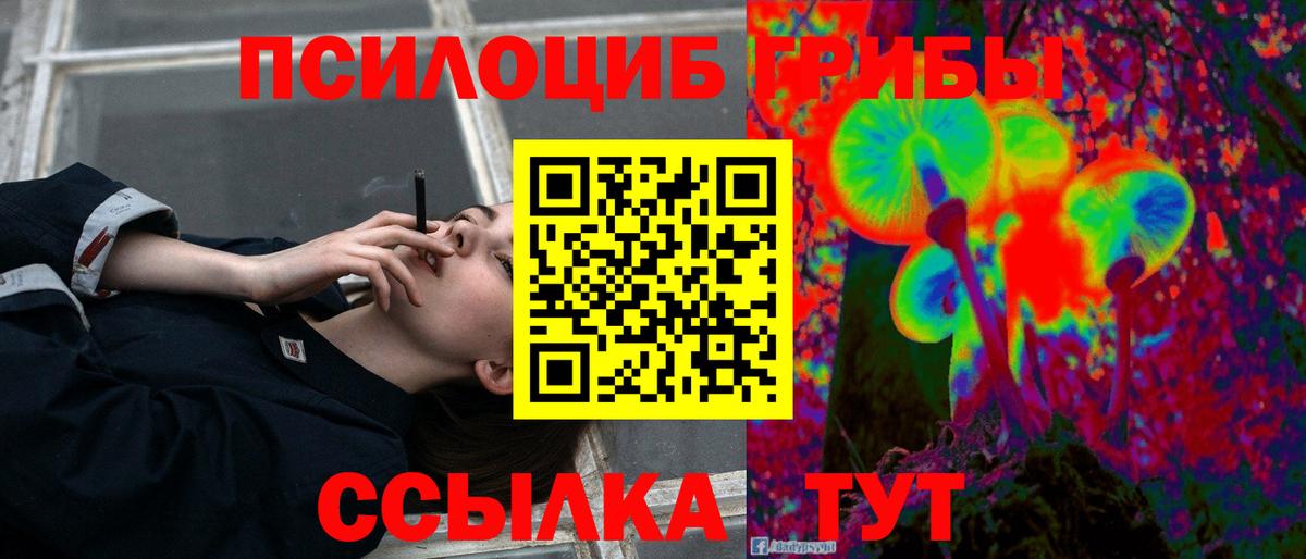 Галлюциногенные грибы Psilocybe Благодарный