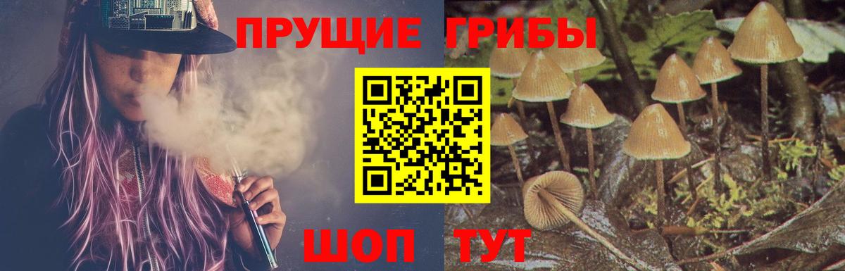 Благодарный  Галлюциногенные грибы мухоморы  продажа наркотиков  Вход с VPN 