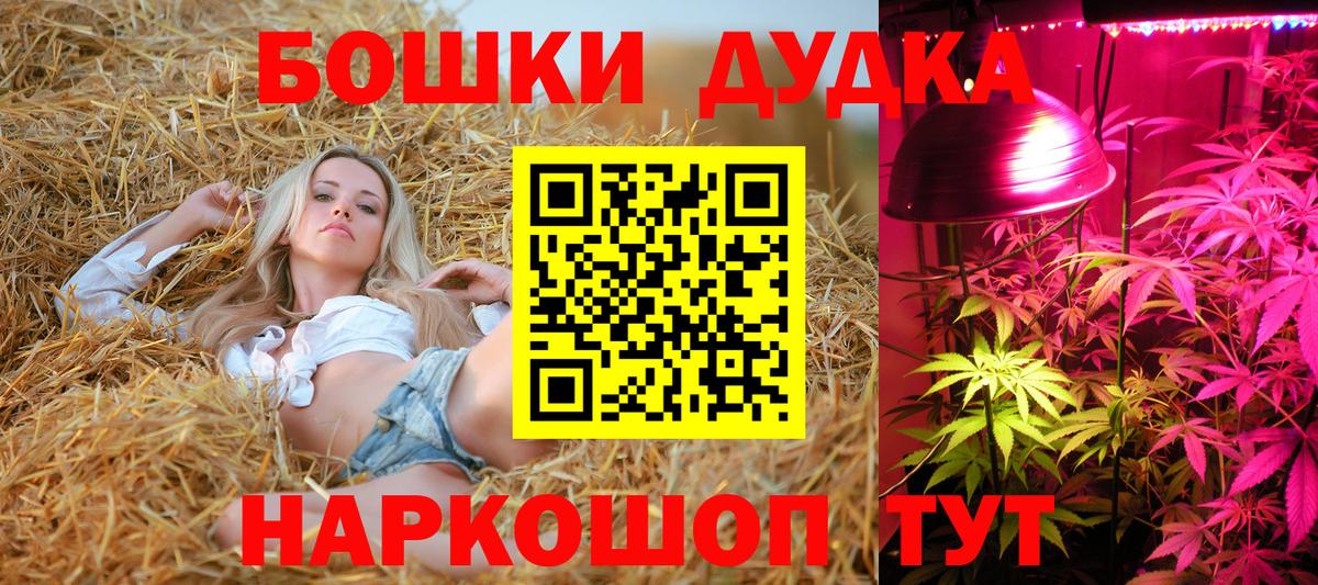 Благодарный  Марихуана индика  Вход с VPN  Марихуана OG Kush  МАРИХУАНА LSD WEED 